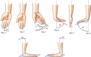 Лучезапястный сустав: анатомия запястья руки человека, основные болезни